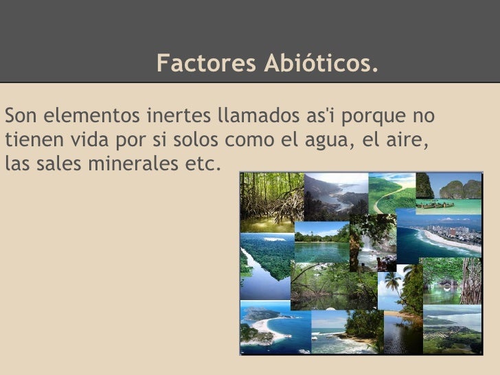 Factores bióticos y abióticos