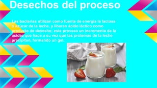 Desechos del proceso
Las bacterias utilizan como fuente de energía la lactosa
o azúcar de la leche, y liberan ácido láctico como
producto de desecho; este provoca un incremento de la
acidez que hace a su vez que las proteínas de la leche
precipiten, formando un gel.
 