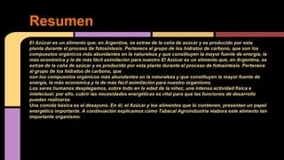 El Azúcar es un alimento que, en Argentina, se extrae de la caña de azúcar y es producido por esta
planta durante el proceso de fotosíntesis. Pertenece al grupo de los hidratos de carbono, que son los
compuestos orgánicos más abundantes en la naturaleza y que constituyen la mayor fuente de energía, la
más económica y la de más fácil asimilación para nuestro El Azúcar es un alimento que, en Argentina, se
extrae de la caña de azúcar y es producido por esta planta durante el proceso de fotosíntesis. Pertenece
al grupo de los hidratos de carbono, que
son los compuestos orgánicos más abundantes en la naturaleza y que constituyen la mayor fuente de
energía, la más económica y la de más fácil asimilación para nuestro organismo.
Los seres humanos desplegamos, sobre todo en la edad de la niñez, una intensa actividad física e
intelectual; por ello, cubrir las necesidades energéticas es vital para que las funciones de desarrollo
puedan realizarse.
Una comida básica es el desayuno. En él, el Azúcar y los alimentos que lo contienen, presentan un papel
energético importante. A continuación explicamos cómo Tabacal Agroindustria elabora este alimento tan
importante organismo.
Resumen
 