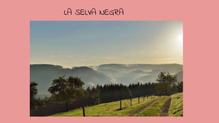 LA SELVA NEGRA
 