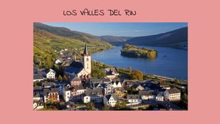 LOS VALLES DEL RIN
 