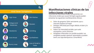 Manifestaciones clínicas de las
infecciones virales
Síntomas de infecciones virales: Los pacientes con
infecciones virales que causan faringitis aguda pueden
presentar las siguientes manifestaciones clínicas:
● Dolor de garganta: Dolor persistente, que a
menudo empeora al tragar.
● Disfagia: Dificultad para tragar debido al dolor y la
hinchazón.
● Fiebre: De intensidad variable, que suele
acompañar a otros síntomas.
● Amígdalas inflamadas con posible exudado: Las
amígdalas pueden aparecer agrandadas y pueden
tener una capa blanquecina o amarillenta.
 