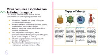 Virus comunes asociados con
la faringitis aguda
Lista de virus comunes: Varios virus se asocian
comúnmente con la faringitis aguda, entre ellos:
● Adenovirus: Conocido por causar infecciones
respiratorias y conjuntivitis.
● Rinovirus: La causa principal del resfriado común,
que a menudo conduce a la faringitis.
● Reovirus: Menos frecuente, pero puede causar
síntomas respiratorios.
● Virus respiratorio sincitial (VRS): afecta
principalmente a lactantes y niños pequeños, pero
puede causar faringitis en adultos.
● Influenza (gripe): Virus estacional que puede
provocar faringitis grave.
● Parainfluenza: Se asocia con infecciones
respiratorias, particularmente en niños.
 