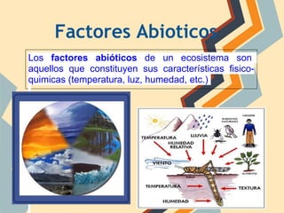 Factores Abioticos
Los factores abióticos de un ecosistema son
aquellos que constituyen sus características fisico-
quimicas (temperatura, luz, humedad, etc.)

 
 
 
 
vv
 
 
 
 
 
 
 
 