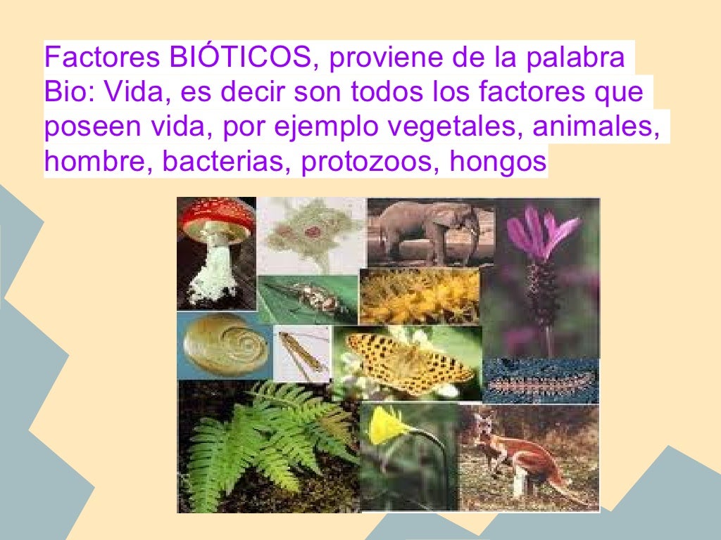 Factores Bióticos y Abióticos Factores Bióticos y Abióticos