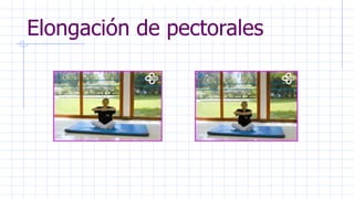 Elongación de pectorales
 