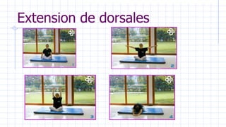 Extension de dorsales
 