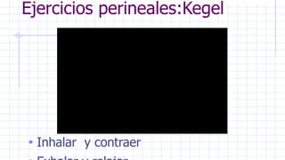 Ejercicios perineales:Kegel
• Inhalar y contraer
 