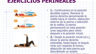 EJERCICIOS PERINEALES
• 1.- Continuamos en la posición
decúbito supino, flexionar la
pierna derecha aproximando la
rodilla hacia el vientre, abducción
externa de la pierna y extensión
de la rodilla; la pierna
permanecerá en esta posición
unos segundos para volver
después a la posición inicial.
• 2.- Desde la posición inicial (d.s.),
elevar la pierna derecha
extendida, hasta lograr el ángulo
recto con respecto al tronco,
abducción de esta pierna que
describiendo un amplio
 