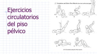 Ejercicios
circulatorios
del piso
pélvico
 