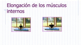 Elongación de los músculos
internos
 