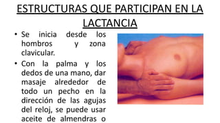 ESTRUCTURAS QUE PARTICIPAN EN LA
LACTANCIA
• Se inicia desde los
hombros y zona
clavicular.
• Con la palma y los
dedos de una mano, dar
masaje alrededor de
todo un pecho en la
dirección de las agujas
del reloj, se puede usar
aceite de almendras o
 