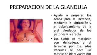 PREPARACION DE LA GLANDULA
• Ayuda a preparar los
senos para la lactancia,
mediante la lubricación y
el ablandamiento de la
piel alrededor de los
pezones y la areola
• Los senos se masajean
con delicadeza, y al
terminar por los lados
laterales se hace un
masaje de ida y vuelta por
 