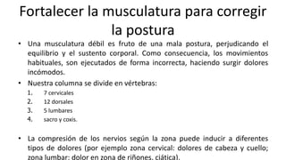 Fortalecer la musculatura para corregir
la postura
• Una musculatura débil es fruto de una mala postura, perjudicando el
equilibrio y el sustento corporal. Como consecuencia, los movimientos
habituales, son ejecutados de forma incorrecta, haciendo surgir dolores
incómodos.
• Nuestra columna se divide en vértebras:
1. 7 cervicales
2. 12 dorsales
3. 5 lumbares
4. sacro y coxis.
• La compresión de los nervios según la zona puede inducir a diferentes
tipos de dolores (por ejemplo zona cervical: dolores de cabeza y cuello;
zona lumbar: dolor en zona de riñones, ciática).
 