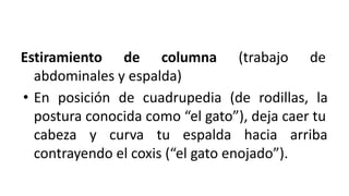 Estiramiento de columna (trabajo de
abdominales y espalda)
• En posición de cuadrupedia (de rodillas, la
postura conocida como “el gato”), deja caer tu
cabeza y curva tu espalda hacia arriba
contrayendo el coxis (“el gato enojado”).
 