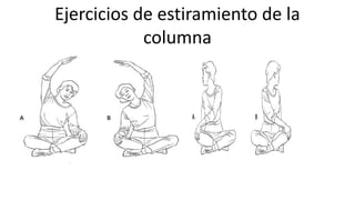 Ejercicios de estiramiento de la
columna
 