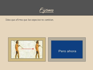 Fijismo
Idea que afirma que las especies no cambian.
 