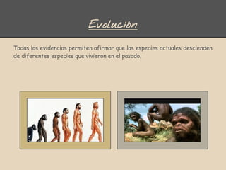 Evolución
Todas las evidencias permiten afirmar que las especies actuales descienden
de diferentes especies que vivieron en el pasado.
 