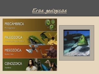 Eras geológicas
 