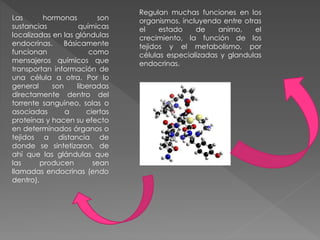 Regulan muchas funciones en los
organismos, incluyendo entre otras
el estado de animo, el
crecimiento, la función de los
tejidos y el metabolismo, por
células especializadas y glandulas
endocrinas.
Las hormonas son
sustancias químicas
localizadas en las glándulas
endocrinas. Básicamente
funcionan como
mensajeros químicos que
transportan información de
una célula a otra. Por lo
general son liberadas
directamente dentro del
torrente sanguíneo, solas o
asociadas a ciertas
proteínas y hacen su efecto
en determinados órganos o
tejidos a distancia de
donde se sintetizaron, de
ahí que las glándulas que
las producen sean
llamadas endocrinas (endo
dentro).
 