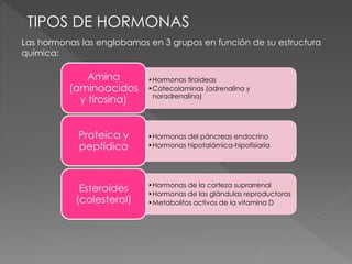 TIPOS DE HORMONAS
Las hormonas las englobamos en 3 grupos en función de su estructura
química:
•Hormonas tiroideas
•Catecolaminas (adrenalina y
noradrenalina)
Amina
(aminoacidos
y tirosina)
•Hormonas del páncreas endocrino
•Hormonas hipotalámica-hipofisiaria
Proteica y
peptídica
•Hormonas de la corteza suprarrenal
•Hormonas de las glándulas reproductoras
•Metabolitos activos de la vitamina D
Esteroides
(colesterol)
 