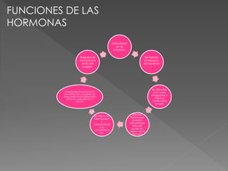 FUNCIONES DE LAS
HORMONAS
Intervienen
en el
corazon.
Se liberan
al espacio
extracelula
r
Se difunden
a los vasos
sanguineos y
viajan a
través de la
sangre.
Afectan
tejidos que
pueden
encontrarse
lejos del
punto de
origen de la
hormona
Su efecto es
directament
e
proporcional
a su
concentraci
ón.
Independientemente de su
concentración, requieren de
adecuada funcionalidad del
receptor, para ejercer su
efecto.
Regulan el
funcionami
ento del
cuerpo.
 
