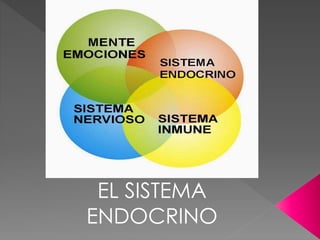 EL SISTEMA
ENDOCRINO
 