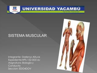 SISTEMA MUSCULAR
Integrante: Darlenys Altuve
Expediente:HPS-152-00516v
Asignatura: Biología y
Conducta
Seccion: EDO4DOV
 