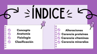 Anatomia Rosa Presentación Sistemas del Cuerpo Humano Anatomía Ilustrado Rosa.pdf