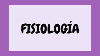Anatomia Rosa Presentación Sistemas del Cuerpo Humano Anatomía Ilustrado Rosa.pdf