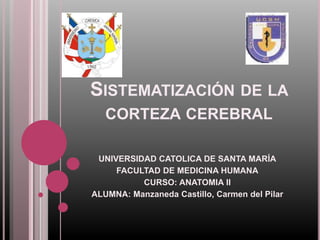 SISTEMATIZACIÓN DE LA 
CORTEZA CEREBRAL 
UNIVERSIDAD CATOLICA DE SANTA MARÍA 
FACULTAD DE MEDICINA HUMANA 
CURSO: ANATOMIA II 
ALUMNA: Manzaneda Castillo, Carmen del Pilar 
 