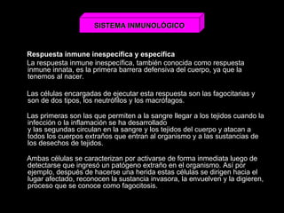 Respuesta inmune inespecífica y específica La respuesta inmune inespecífica, también conocida como respuesta inmune innata, es la primera barrera defensiva del cuerpo, ya que la tenemos al nacer. Las células encargadas de ejecutar esta respuesta son las fagocitarias y son de dos tipos, los neutrófilos y los macrófagos. Las primeras son las que permiten a la sangre llegar a los tejidos cuando la infección o la inflamación se ha desarrollado y las segundas circulan en la sangre y los tejidos del cuerpo y atacan a todos los cuerpos extraños que entran al organismo y a las sustancias de los desechos de tejidos. Ambas células se caracterizan por activarse de forma inmediata luego de detectarse que ingresó un patógeno extraño en el organismo. Así por ejemplo, después de hacerse una herida estas células se dirigen hacia el lugar afectado, reconocen la sustancia invasora, la envuelven y la digieren, proceso que se conoce como fagocitosis. SISTEMA INMUNOLÓGICO 