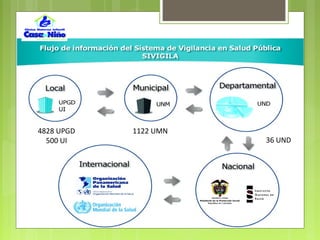 4828 UPGD
500 UI
1122 UMN
36 UND
 