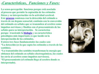 -Características, Funciones y Fases:
La senso-percepción funciona porque está asociada
al proceso que permite la captación de los estímulos
físicos y su interpretación vía la actividad cerebral.
Este proceso comienza con la detección del estímulo a
través de un órgano sensorial, continúa con la conversión
del estímulo en señales que se transmiten al cerebro como
impulsos nerviosos y finaliza con el procesamiento de las
señales para su interpretación. Se caracteriza
porque trasciende la biología y su característica
psicológica más importante es que incide en la
interpretación de los estímulos.
Existen tres fases fundamentales las cuales son:
*La detección (es la que capta los estímulos a través de los
sentidos).
*La transmisión (los sentidos transforman la energía que
obtienen del estimulo en señales electroquímicas, las cuales
las envía al cerebro como impulsos nerviosos).
*El procesamiento (el estímulo llega al cerebro donde es
interpretado).
 