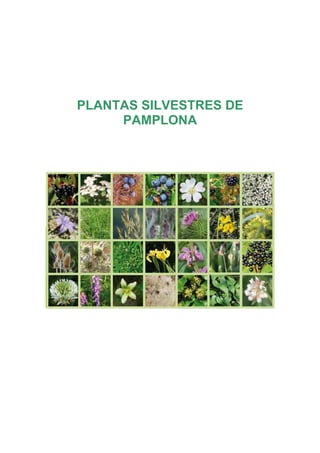 PLANTAS SILVESTRES DE
PAMPLONA

 