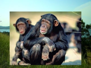 Presentación slideshare CARLA GONZALEZ