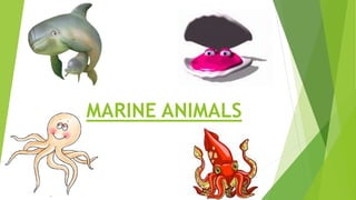 MARINE ANIMALS
 