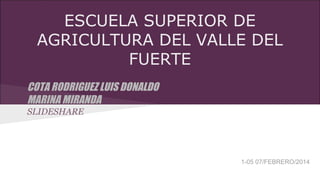 ESCUELA SUPERIOR DE
AGRICULTURA DEL VALLE DEL
FUERTE
COTA RODRIGUEZ LUIS DONALDO
MARINA MIRANDA
SLIDESHARE

1-05 07/FEBRERO/2014

 