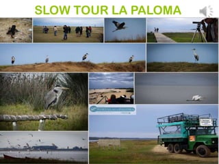 SLOW TOUR LA PALOMA

 