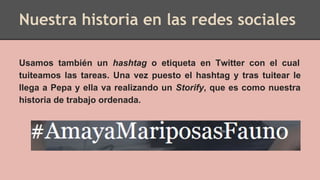 Nuestra historia en las redes sociales
Usamos también un hashtag o etiqueta en Twitter con el cual
tuiteamos las tareas. Una vez puesto el hashtag y tras tuitear le
llega a Pepa y ella va realizando un Storify, que es como nuestra
historia de trabajo ordenada.
 