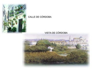 CALLE DE CÓRDOBA VISTA DE CÓRDOBA 