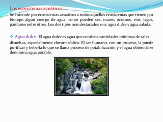 Los ecosistemas acuáticos
Se entiende por ecosistemas acuáticos a todos aquellos ecosistemas que tienen por
biotopo algún cuerpo de agua, como pueden ser: mares, océanos, ríos, lagos,
pantanos entre otros. Los dos tipos más destacados son: agua dulce y agua salada.


 Agua dulce: El agua dulce es agua que contiene cantidades mínimas de sales
disueltas, especialmente cloruro sódico. El ser humano, con un proceso, la puede
purificar y beberla lo que se llama proceso de potabilización y el agua obtenida se
denomina agua potable.
 