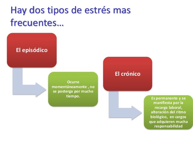 Fases Del Estres Laboral