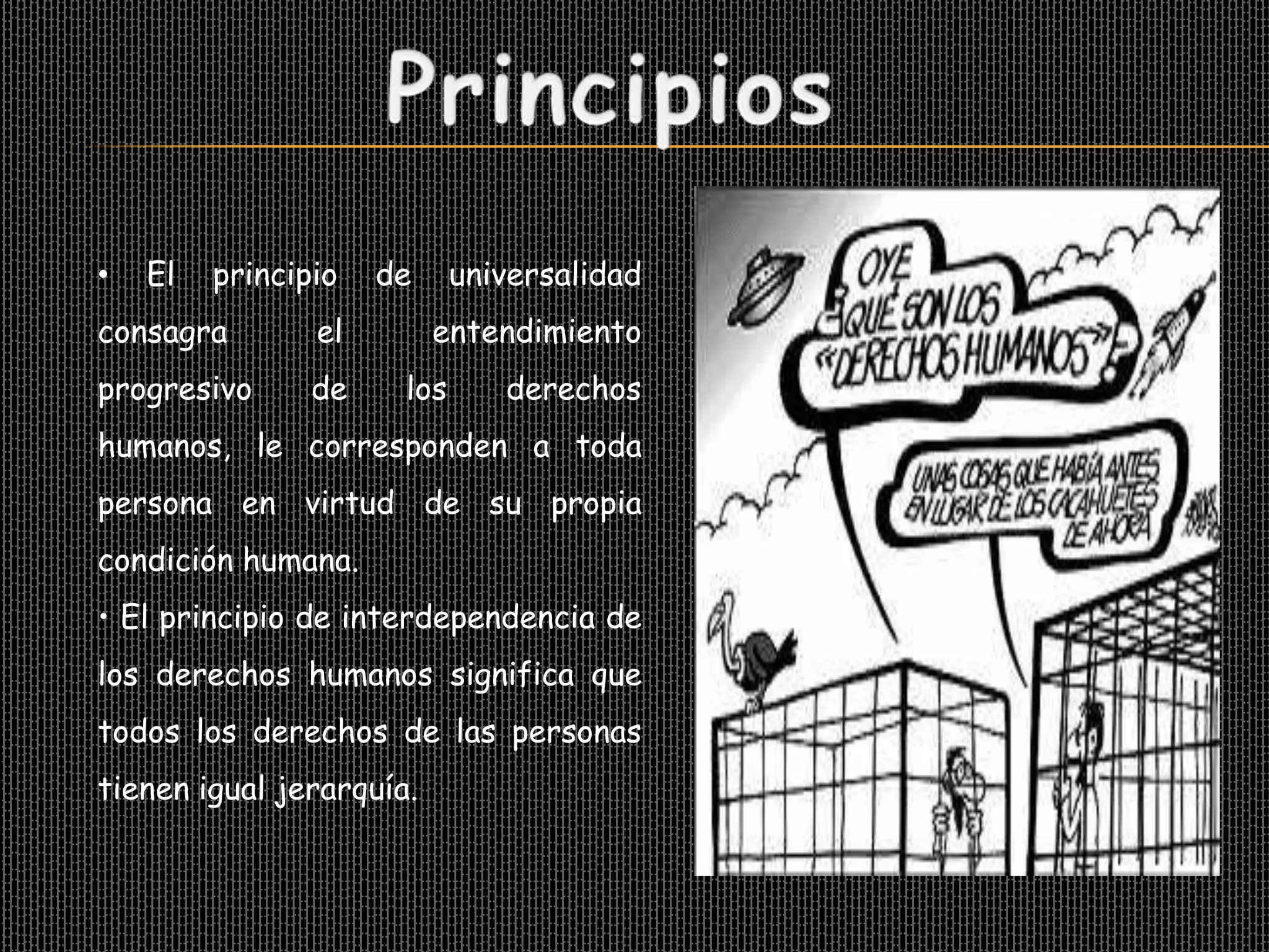 •   El   principio   de     universalidad
consagra        el        entendimiento
progresivo      de    los      derechos
humanos, le corresponden a toda
persona en virtud de su propia
condición humana.
• El principio de interdependencia de
los derechos humanos significa que
todos los derechos de las personas
tienen igual jerarquía.
 