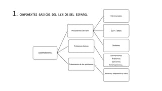 1. COMPONENTES BÁSICOS DEL LÉXICO DEL ESPAÑOL
COMPONENTES
Procedentes del latín
Patrimoniales
Cultismos
DobletesPréstamos léxicos
Germanismos
Arabismos
Galicismos
Americanismos…Tratamiento de los préstamos
Xenismo, adaptación y calco