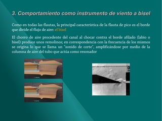 3. Comportamiento como instrumento de viento a bisel
Como en todas las flautas, la principal característica de la flauta de pico es el borde
que divide el flujo de aire: el bisel
El chorro de aire procedente del canal al chocar contra el borde afilado (labio o
bisel) produce unos remolinos; en correspondencia con la frecuencia de los mismos
se origina lo que se llama un "sonido de corte", amplificándose por medio de la
columna de aire del tubo que actúa como resonador

 