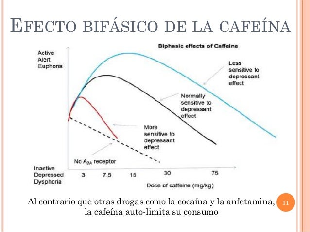 Presentación sobre la cafeina