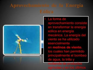 Aprovechamiento de la Energía
           Eólica
             • La forma de
               aprovechamiento consiste
               en transformar la energía
               eólica en energía
               mecánica. La energía del
               viento se ha utilizado
               esencialmente
               en molinos de viento,
               los cuales han permitido
               principalmente el bombeo
               de agua, la trilla y
               molienda de productos
               agrícolas y en los últimos
 