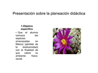 Presentación sobre la planeación didáctica
1.Objetivo
específico
• Que el alumno
conozca las
especies
amenazadas en
México (pérdida de
la biodiversidad)
con la finalidad de
que valore su
ambiente físico-
social.
 