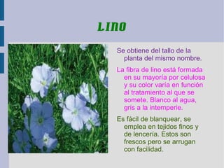 lino

  Se obtiene del tallo de la
    planta del mismo nombre.
  La fibra de lino está formada
    en su mayoría por celulosa
    y su color varía en función
    al tratamiento al que se
    somete. Blanco al agua,
    gris a la intemperie.
  Es fácil de blanquear, se
    emplea en tejidos finos y
    de lencería. Estos son
    frescos pero se arrugan
    con facilidad.
 